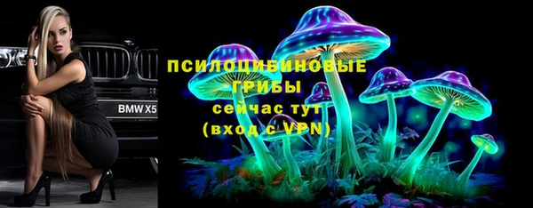 гидра Баксан