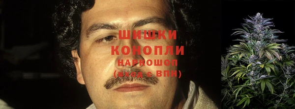 гидра Баксан