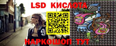 дживик Кингисепп