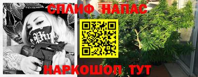 дживик Кингисепп