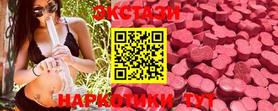 дживик Кингисепп