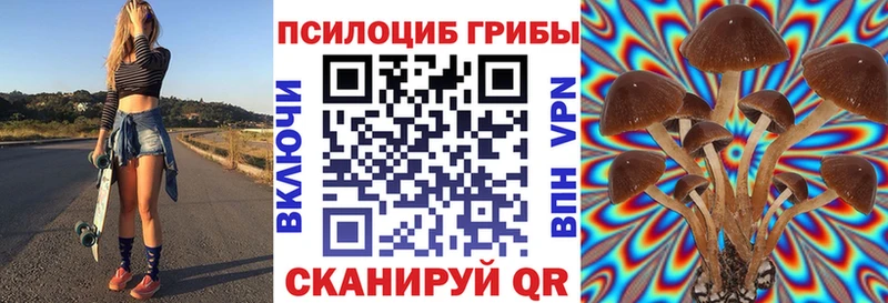 купить   Печора  Галлюциногенные грибы мицелий 