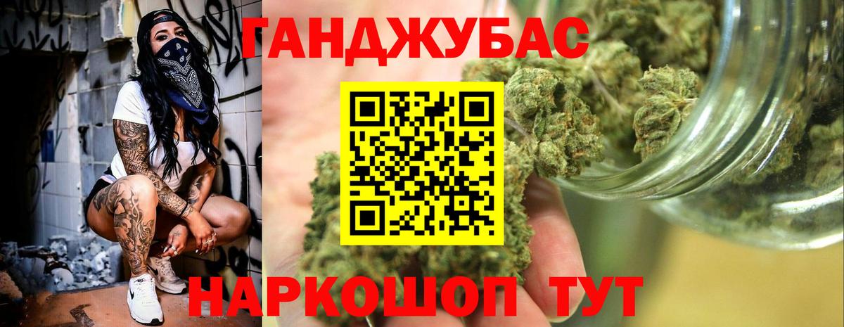 Конопля гибрид Печора